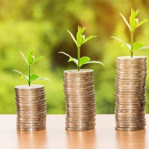 Green Software Practitioner - Grön IT